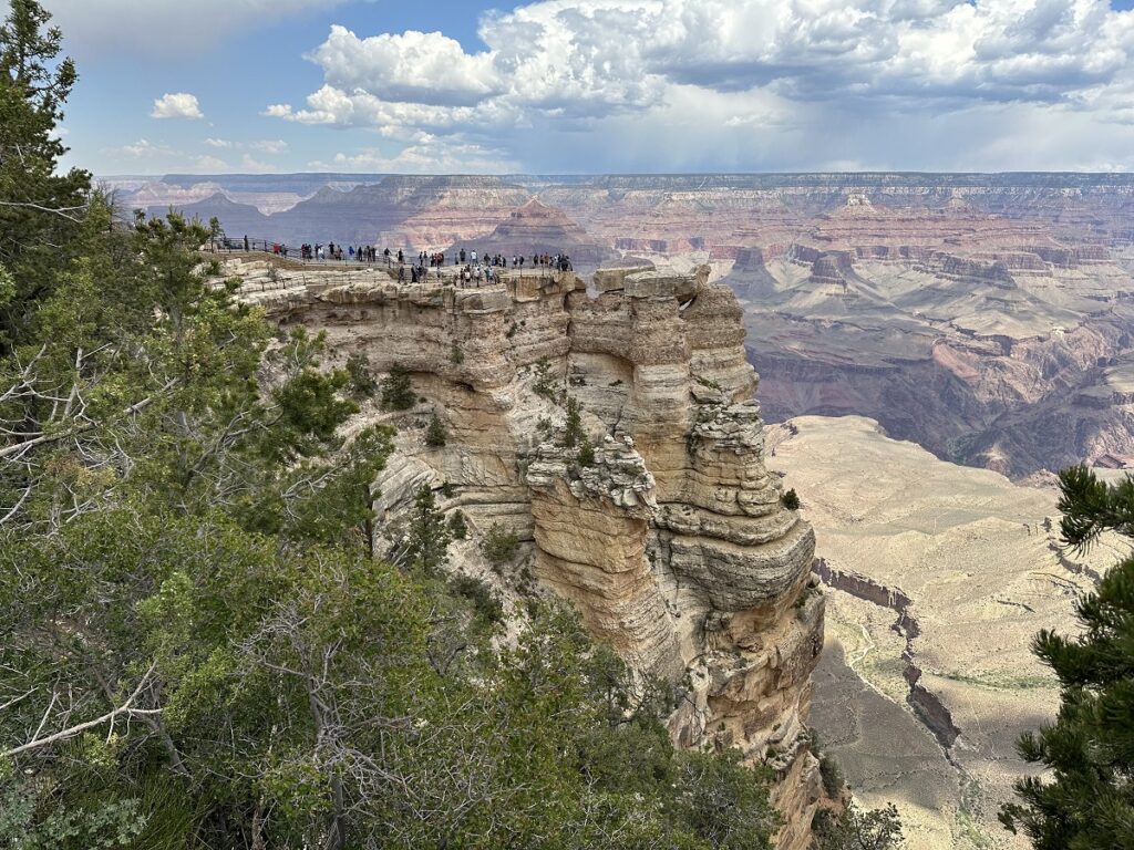 Enjoy the view of the South Rim